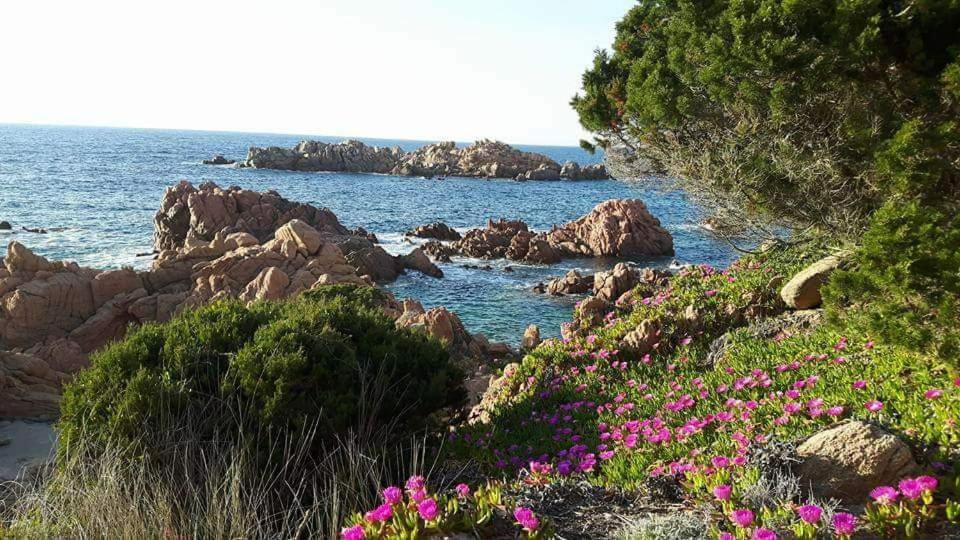 Casa Vacanze Villa Sandrina Costa Paradiso Extérieur photo