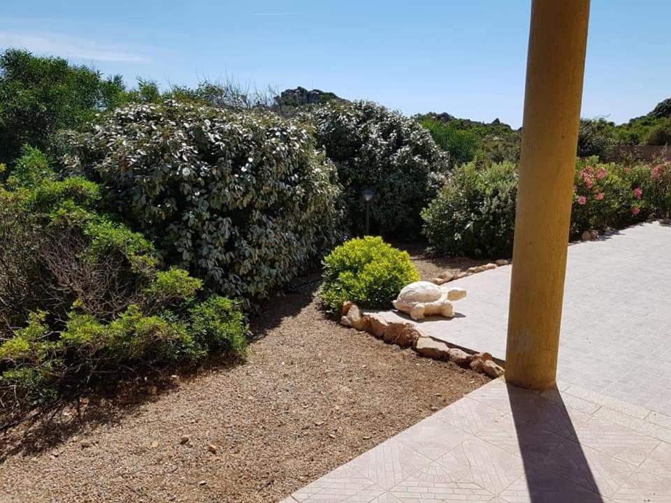 Casa Vacanze Villa Sandrina Costa Paradiso Extérieur photo